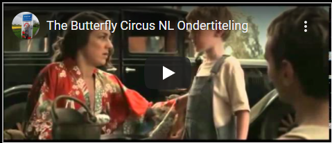 Butterfly circus